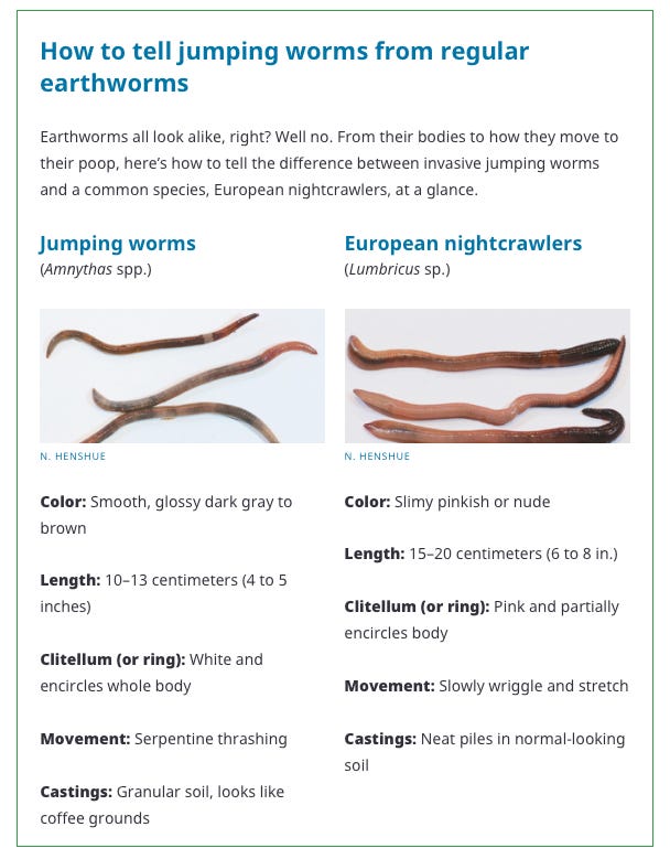 Jumping Worms: An Update, Again - by Farmer Fred Hoffman