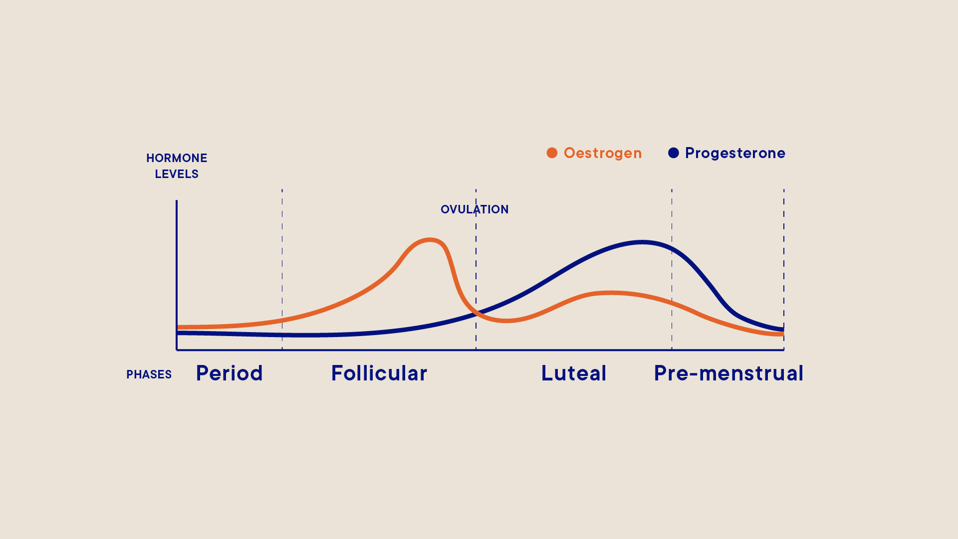 During your Luteal Phase your progesterone levels are at its peak here