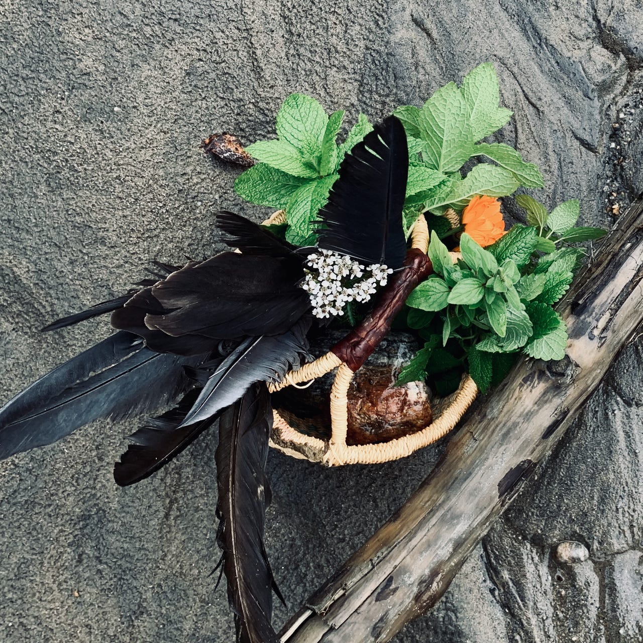 Artwork for A Basket of Herbs and Feathers
