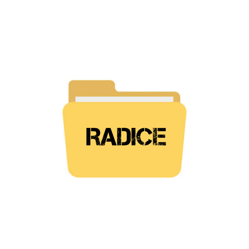 Artwork for The Radice Files
