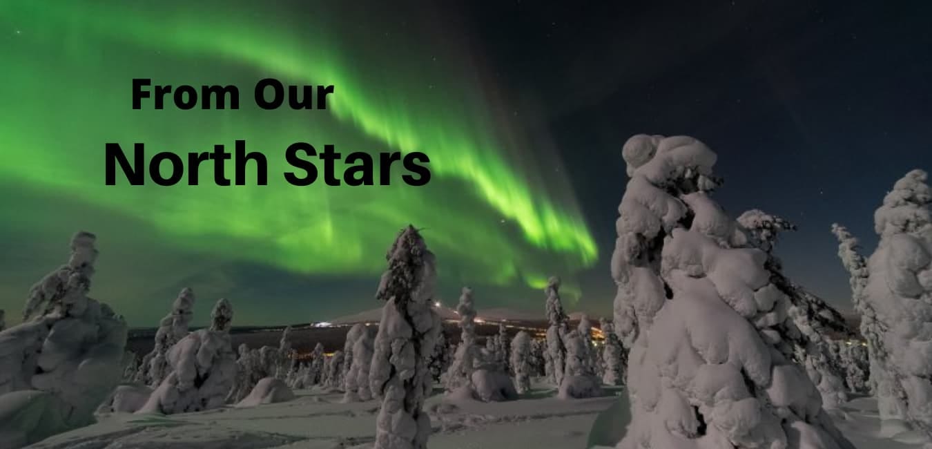 Anchorage North Stars