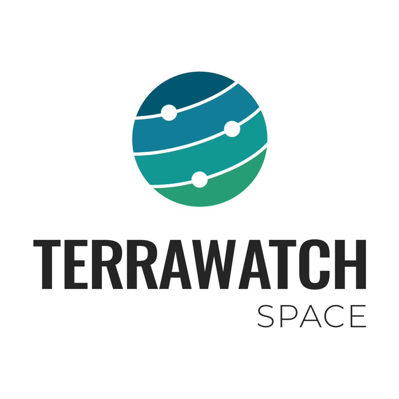Artwork for TerraWatch Space Insights