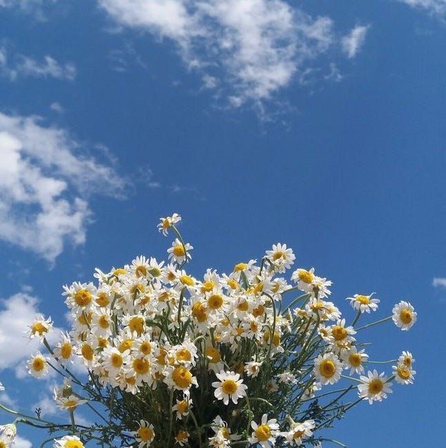 Prayers, love, and light 