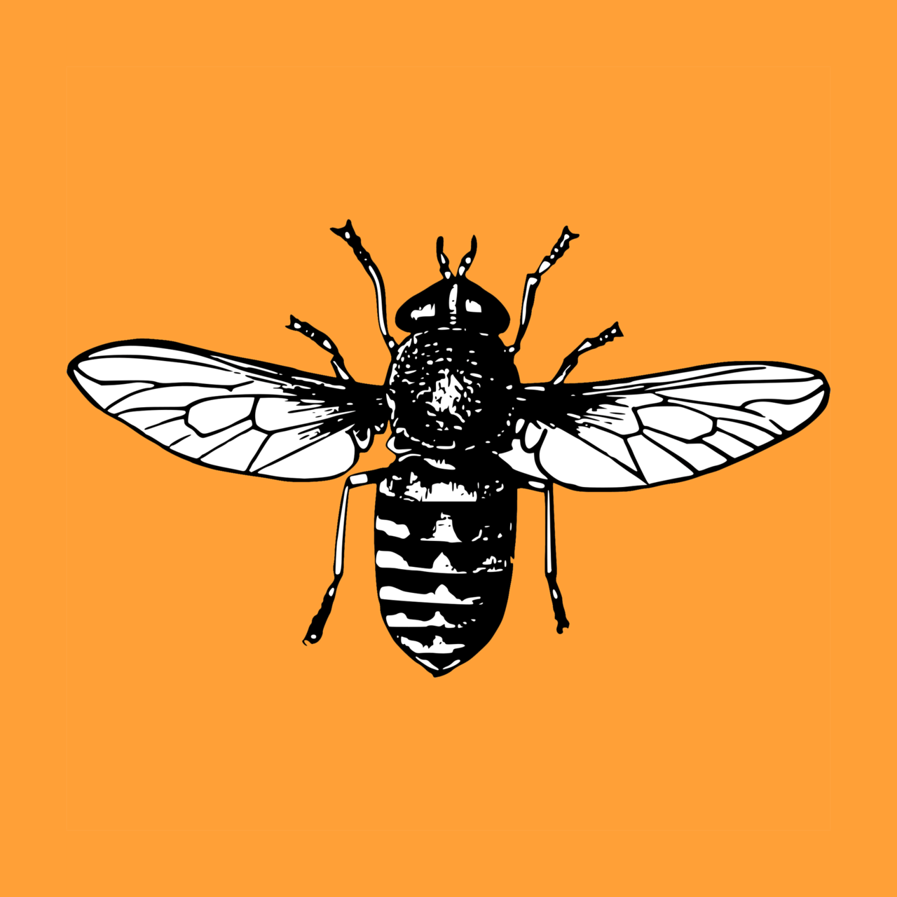 Artwork for The Greeley Gadfly