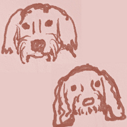 dog problems logo