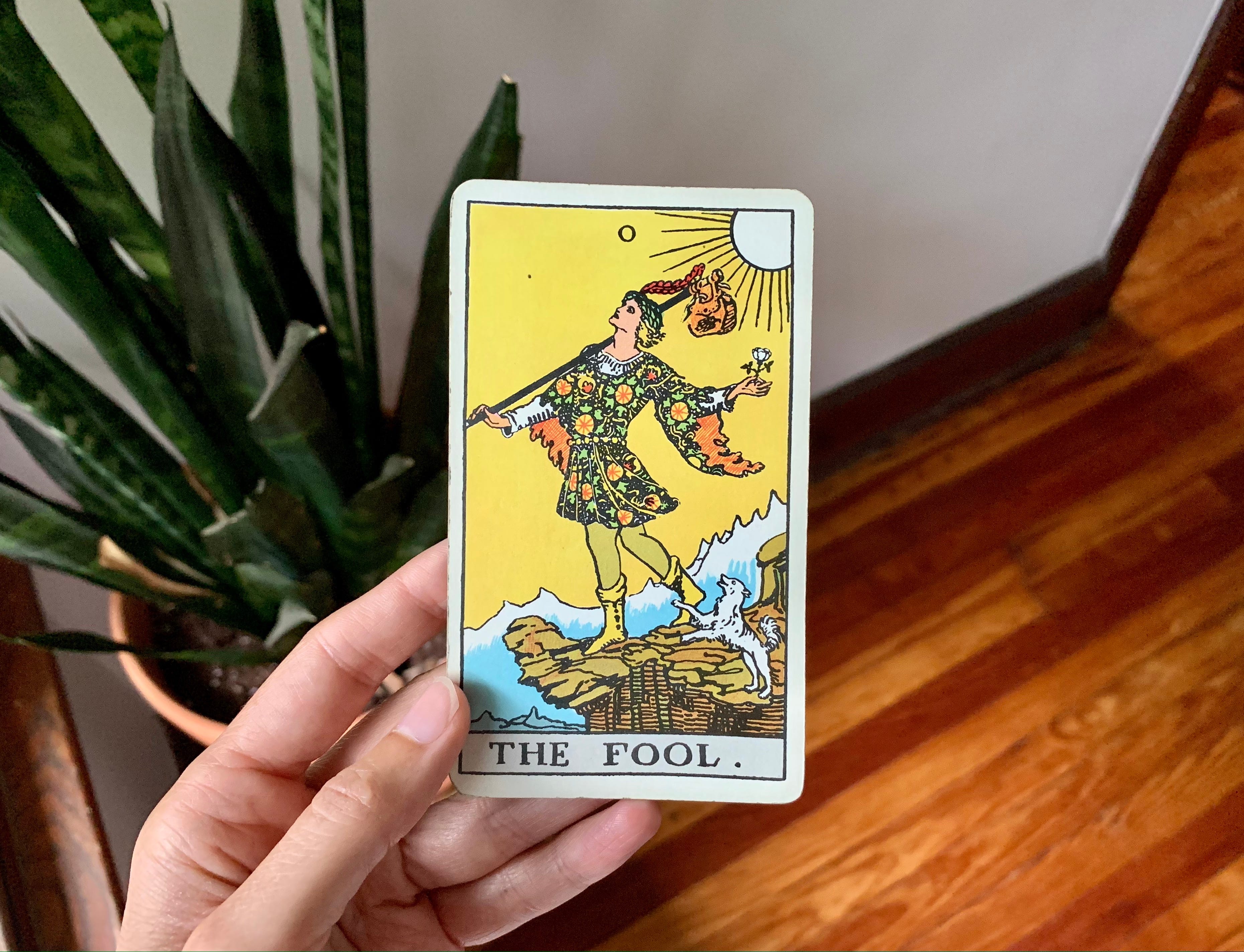 Does anyone else use this planner? I've been doing a daily one card  reading. This planner is very helpful in keeping me on track! : r/tarot