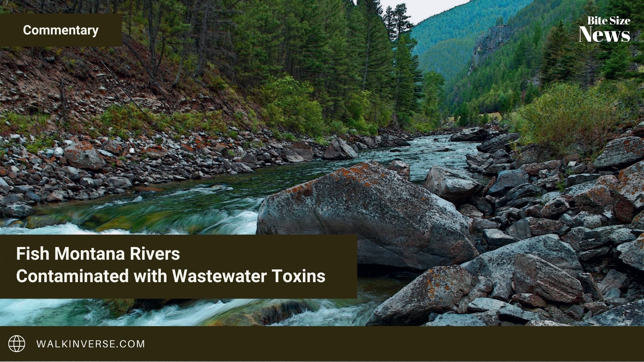 Big Sky Montana Rivers Contaminated with Wastewater Toxins