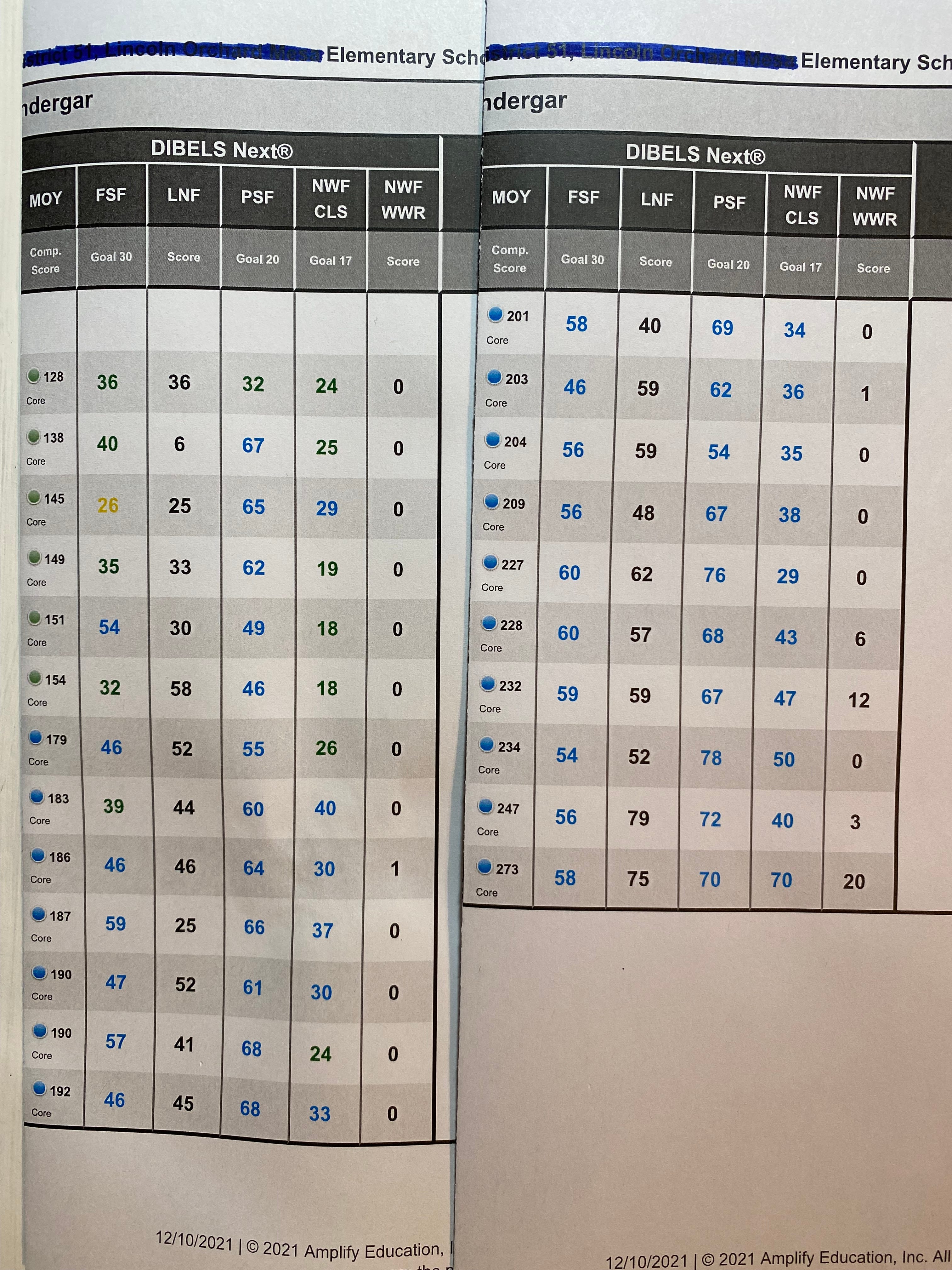 Video 100 At Above Level On Middle of the Year DIBELS Testing