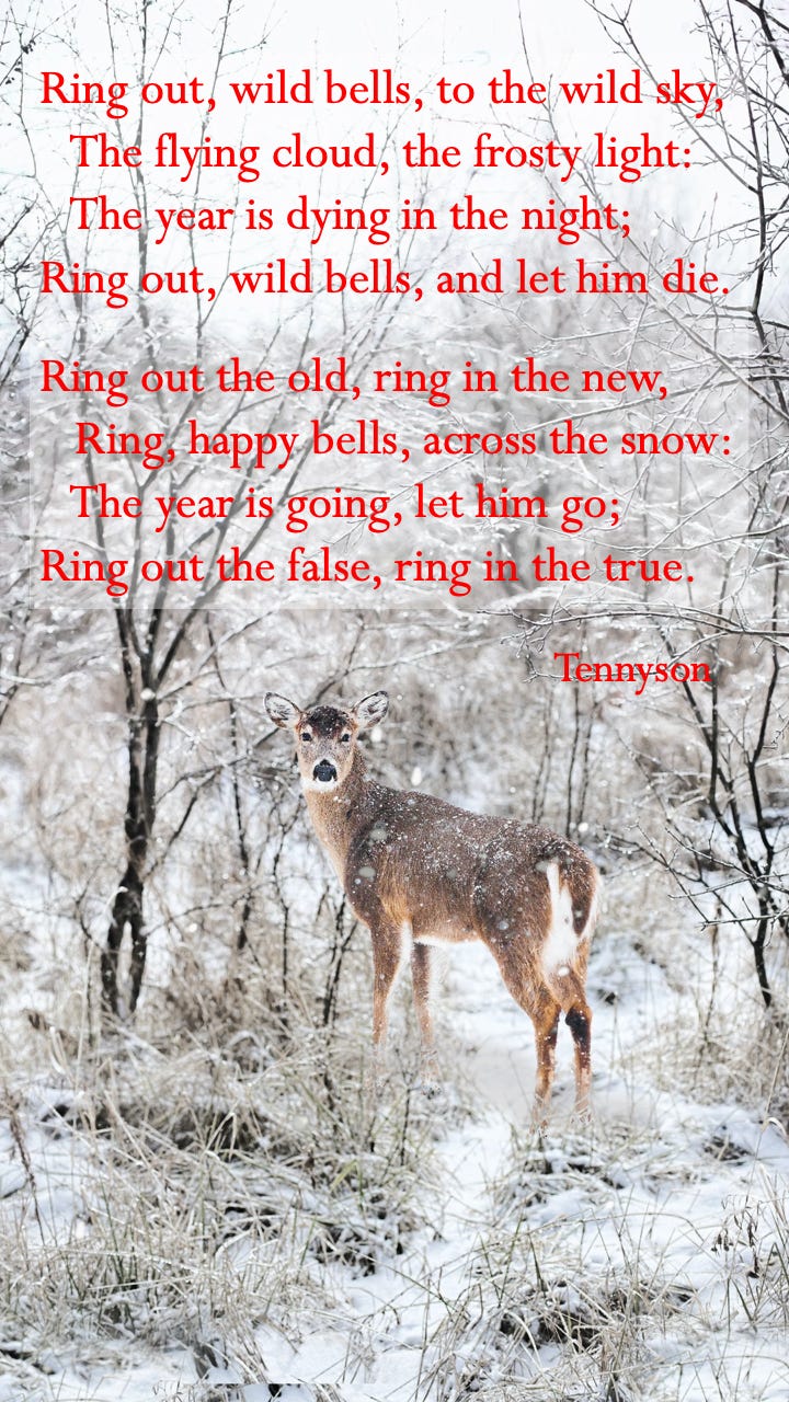 Poem: Ring Out Wild Bells by Alfred Lord Tennyson - Engelsk 1 - NDLA