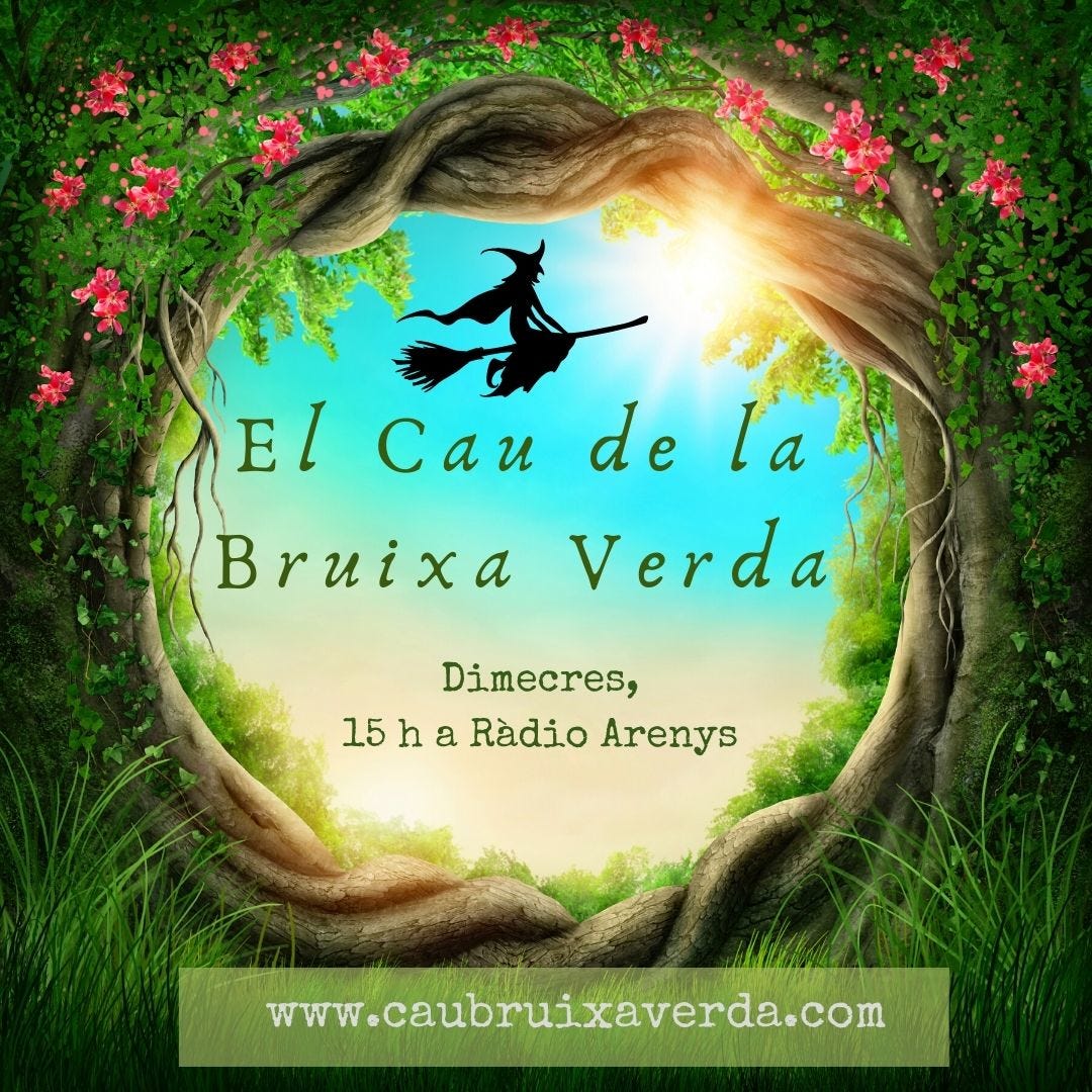 Artwork for Bruixa Verda