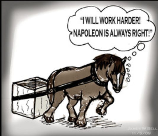 Comrade Napoleon’s Newsletter