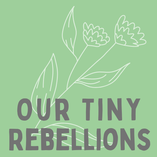 Artwork for Our Tiny Rebellions