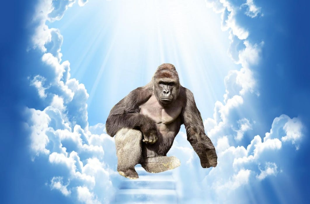 Harambe T - Shirt Roblox Roblox Muscle T Shirt Free Png,Harambe