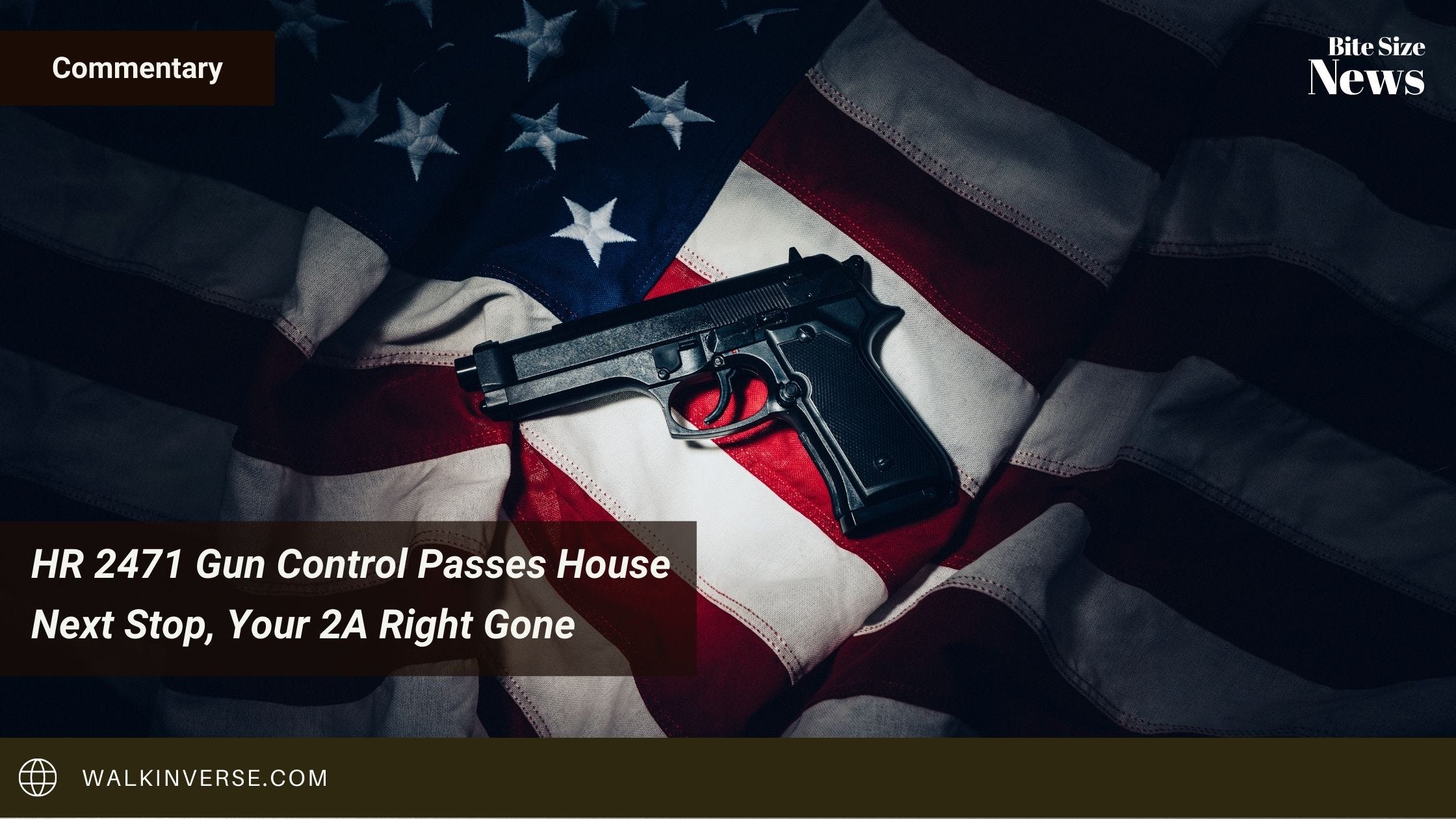 HR 2471 Gun Control Passes House