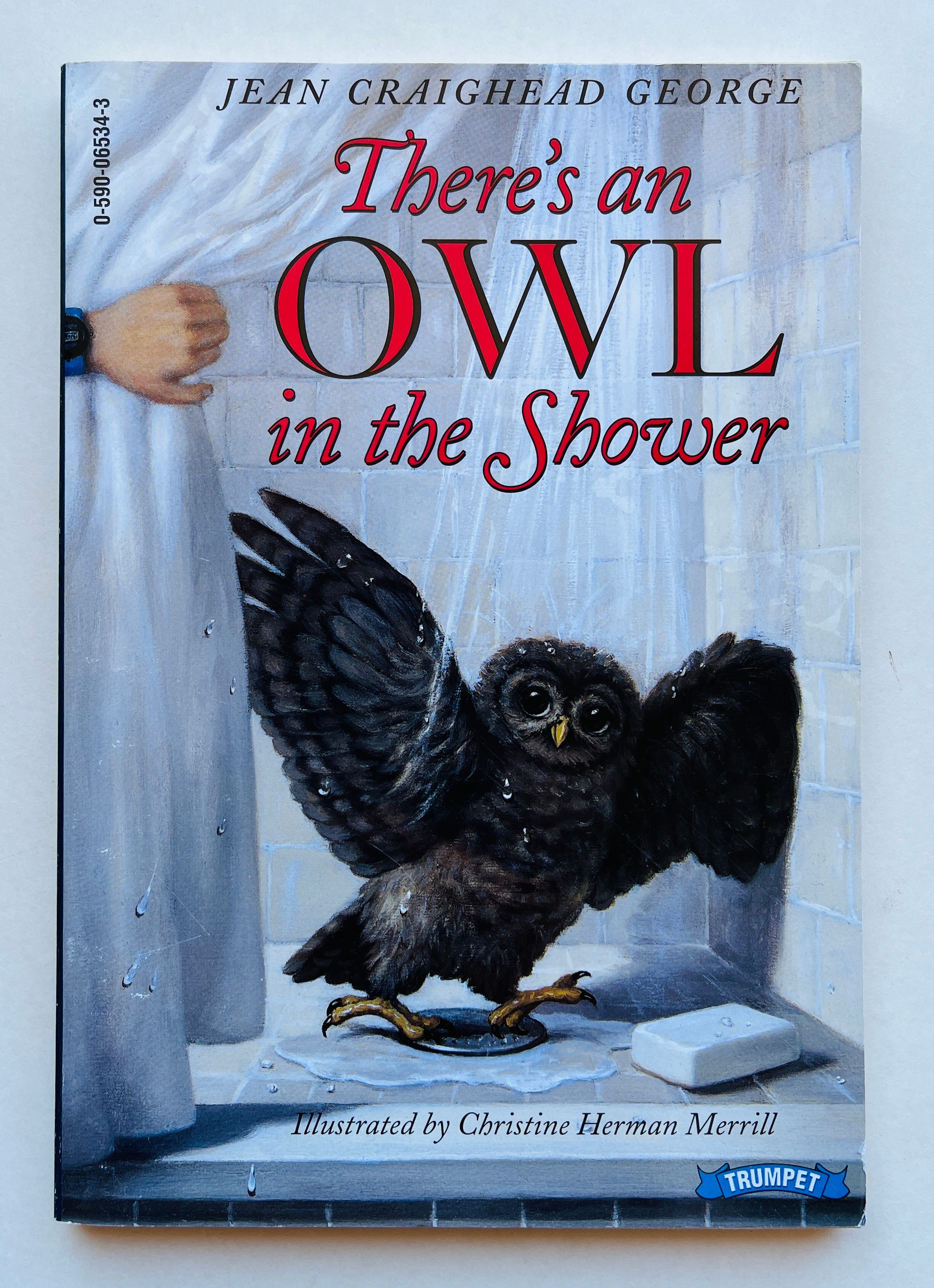 Owl B. Blue on Easter Day: A Children's Book About A Little Owl WHOOO  Learns The True Meaning of Easter, Making Friends And Being a Christian!  (Hardcover)