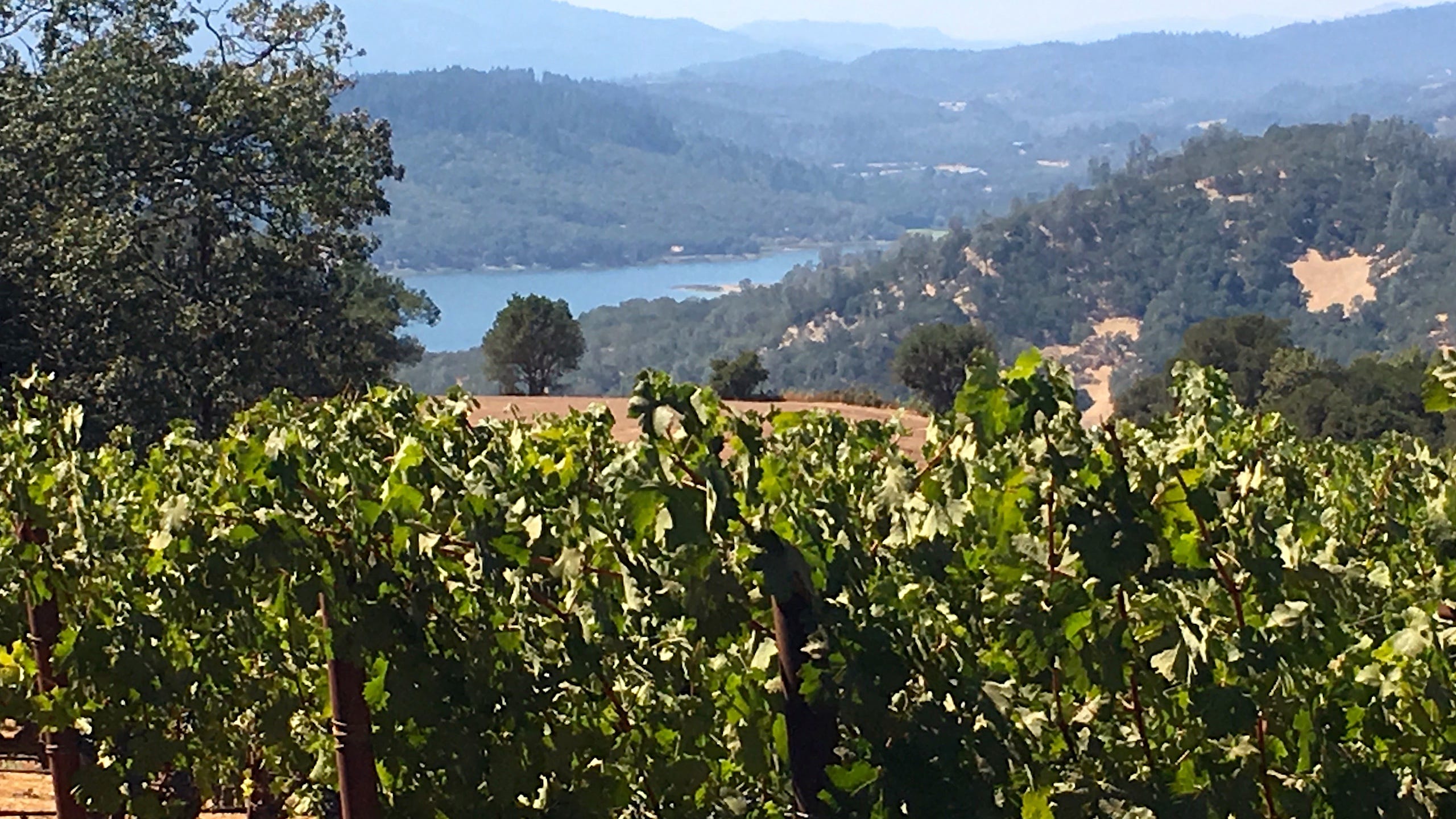 Joseph Phelps Vineyards in St. Helena is a Top Real Estate Project Award  winner
