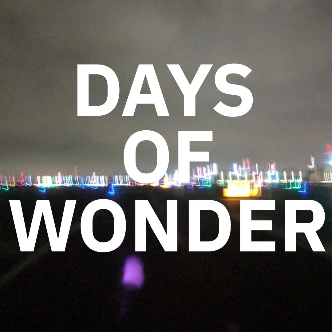 Artwork for Days Of Wonder