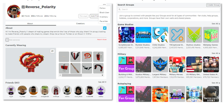 Illustration of Various Features Available in Roblox Platform to