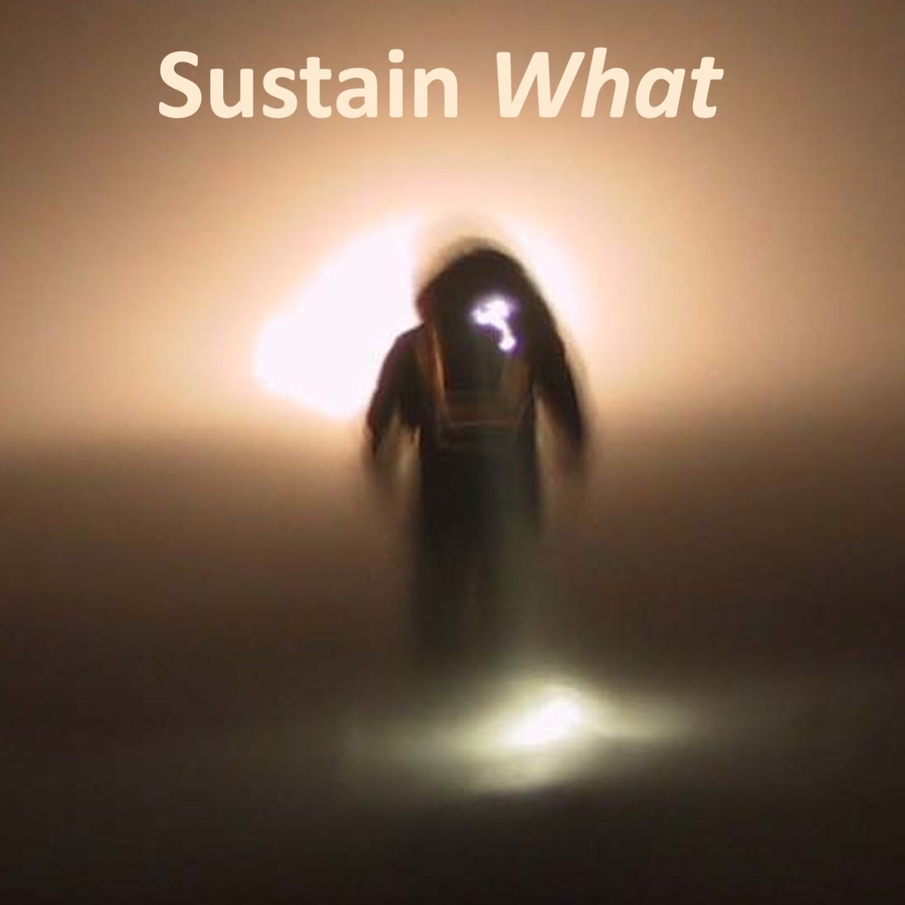 Artwork for Sustain What