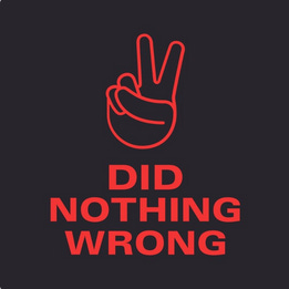 Artwork for Did Nothing Wrong