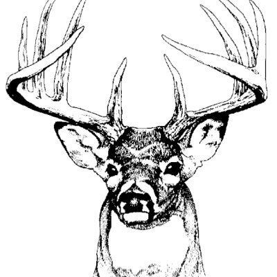 Artwork for Buck on Software