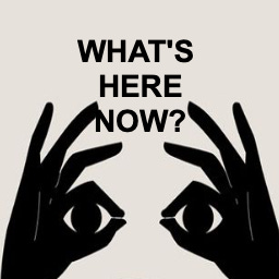 What's Here Now? logo