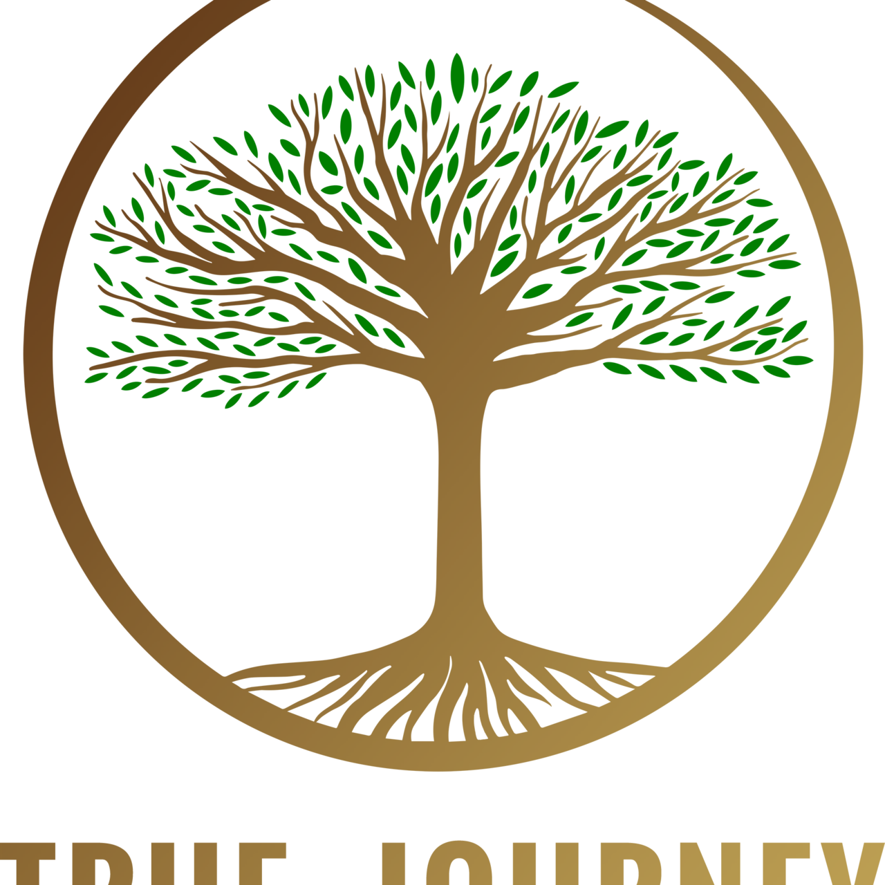 True - Journey 