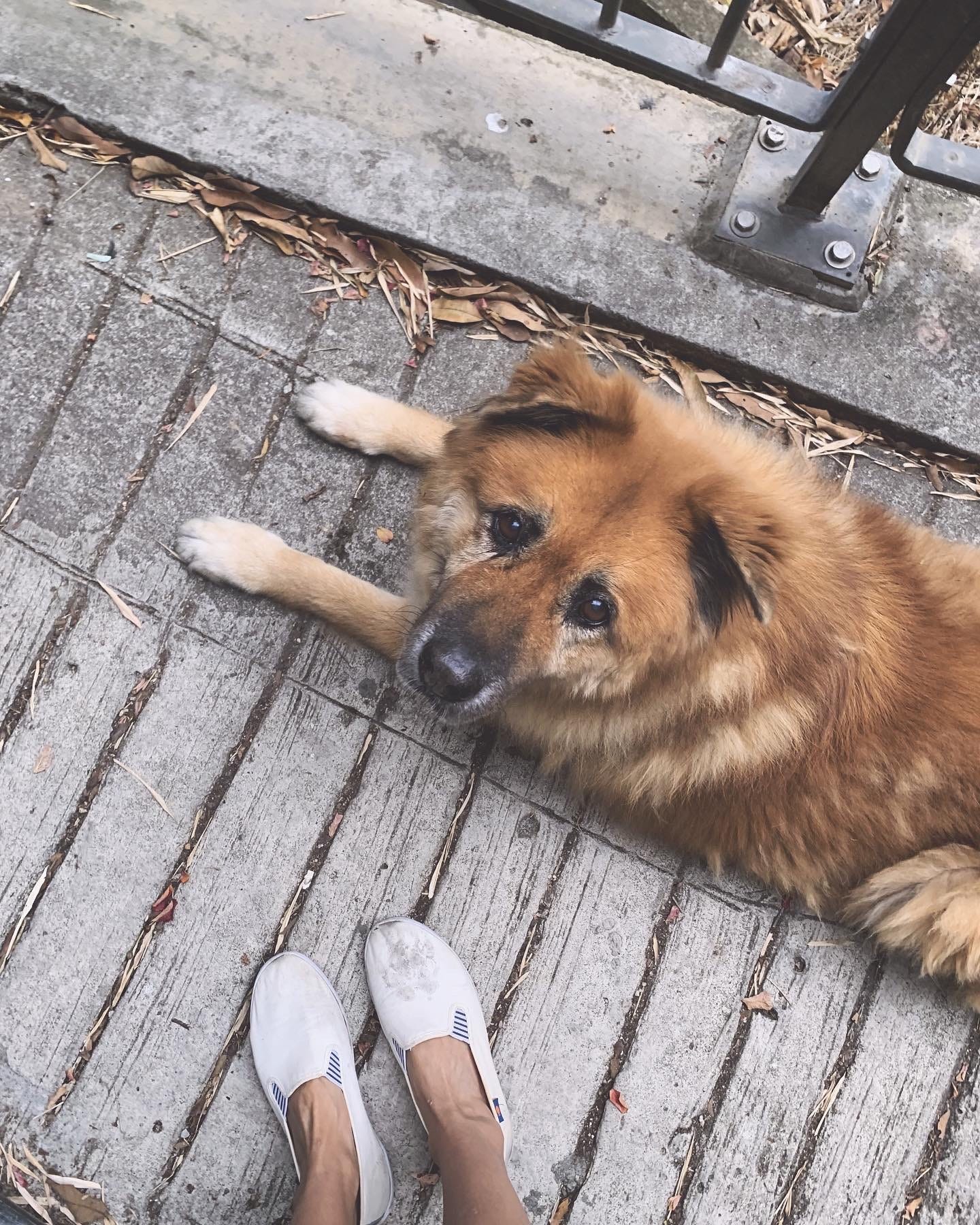 I wish you a weekend of intentional frivolity