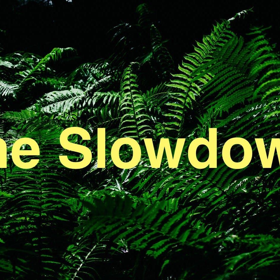 The Slowdown logo