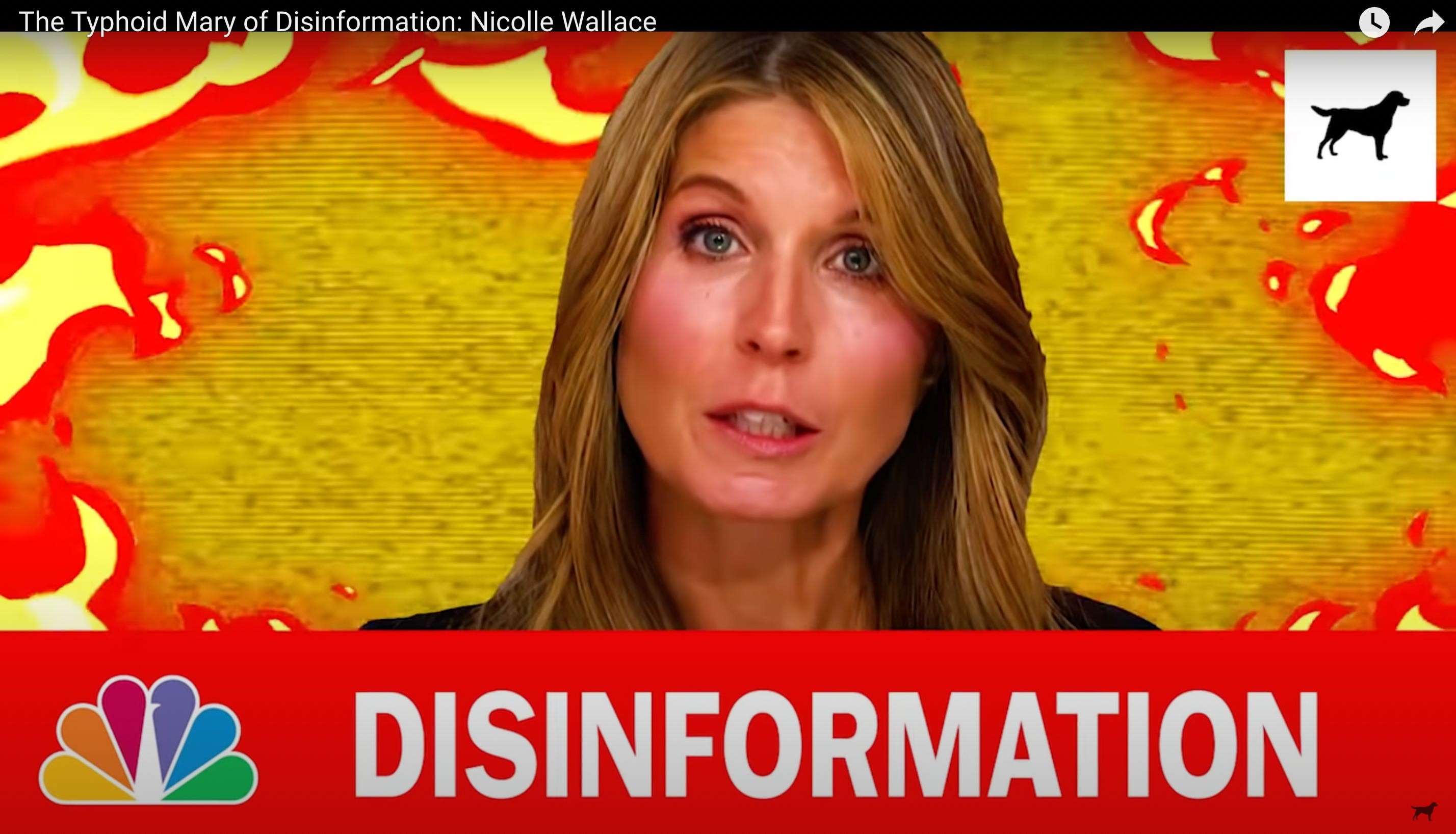 MSNBC's Nicolle Wallace hilariously compares GOP to Flat Earthers for their  denial of Bolton's impeachment evidence - Raw Story