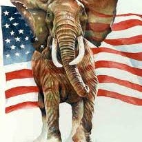 Artwork for Elephant In The Room: My Thoughts on Issues in the GOP