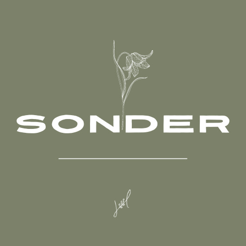 Artwork for Sonder