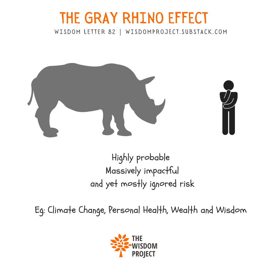 Will the Gray Rhino Trample You? Some Obvious Risks You Ignore