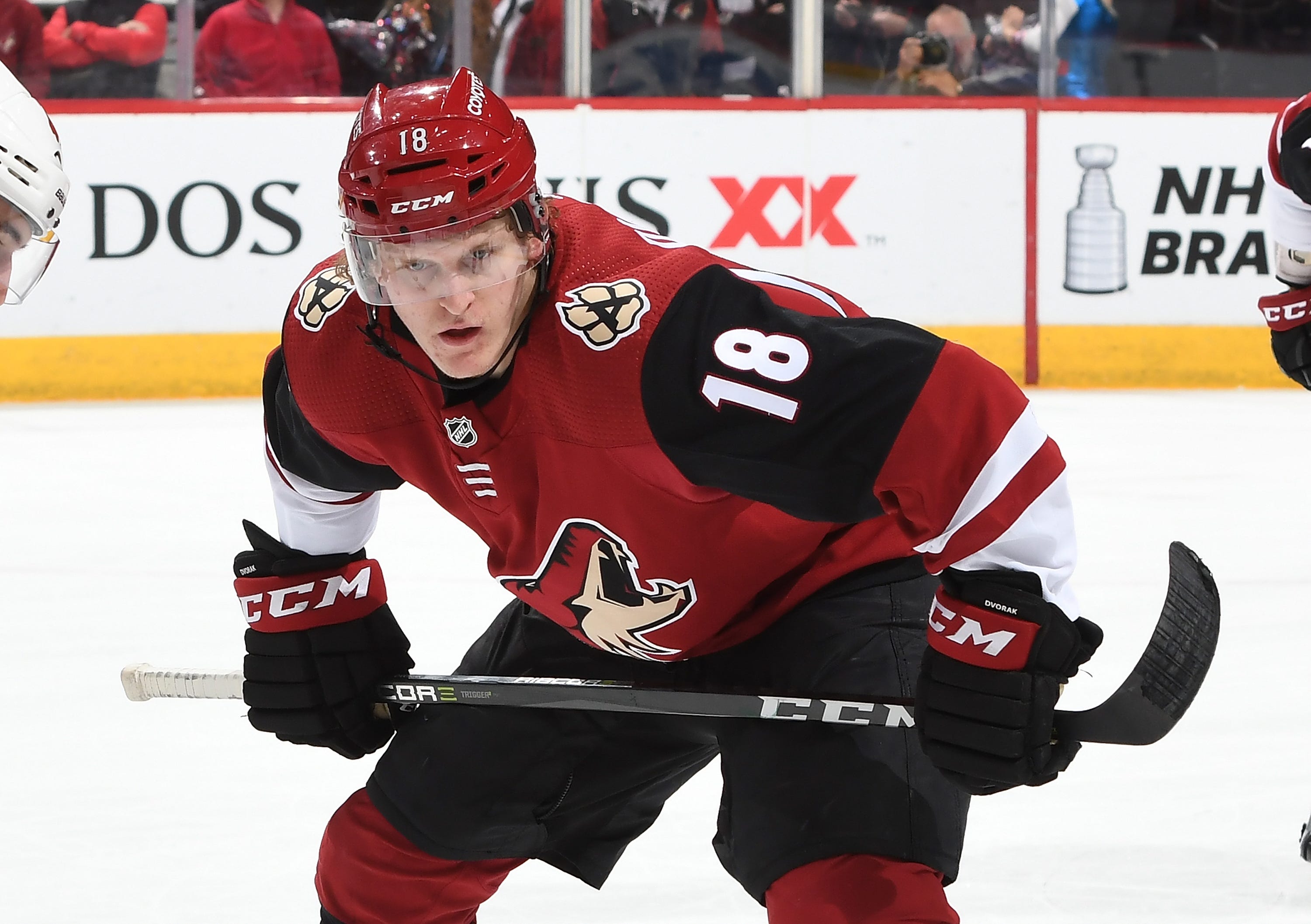 Hayton hoping his versatility will lead to early success for Coyotes