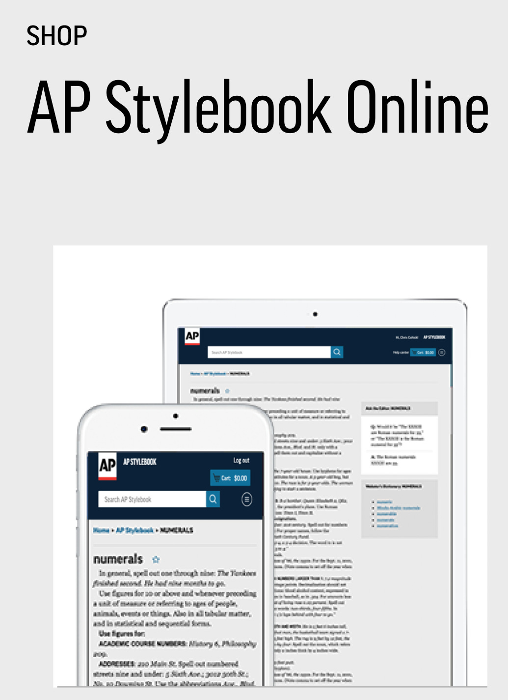 AP Stylebook Online