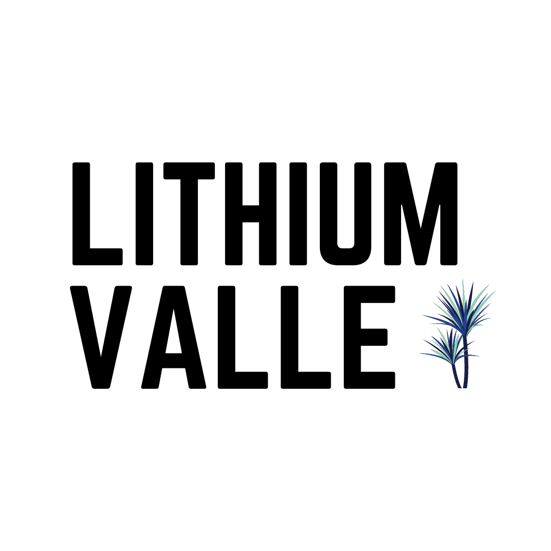 Artwork for Lithium Valle
