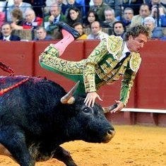 Bullfight Capital
