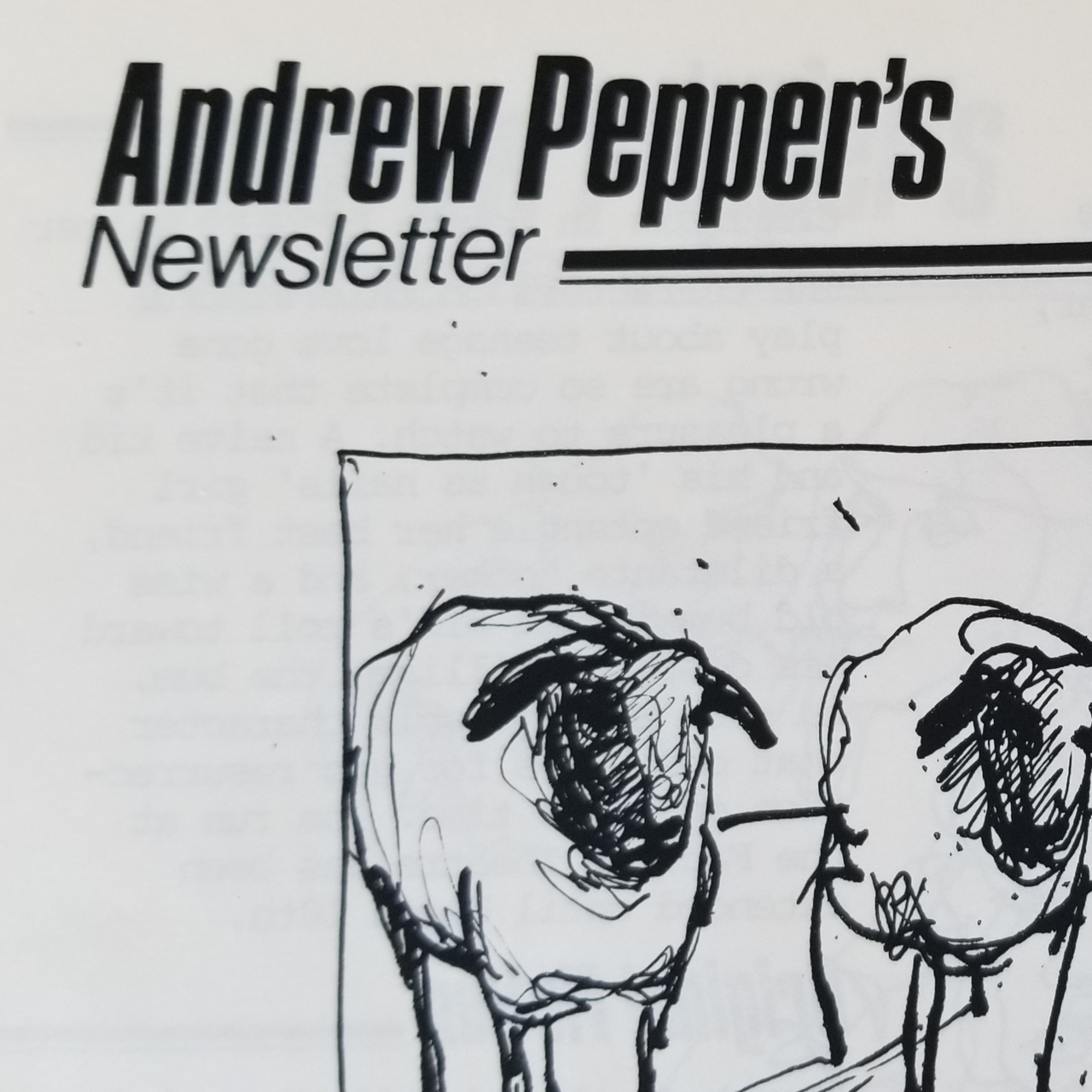 Andrew Pepper's Newsletter logo