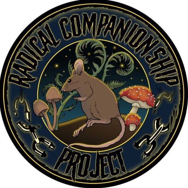 The Radical Companionship Project logo