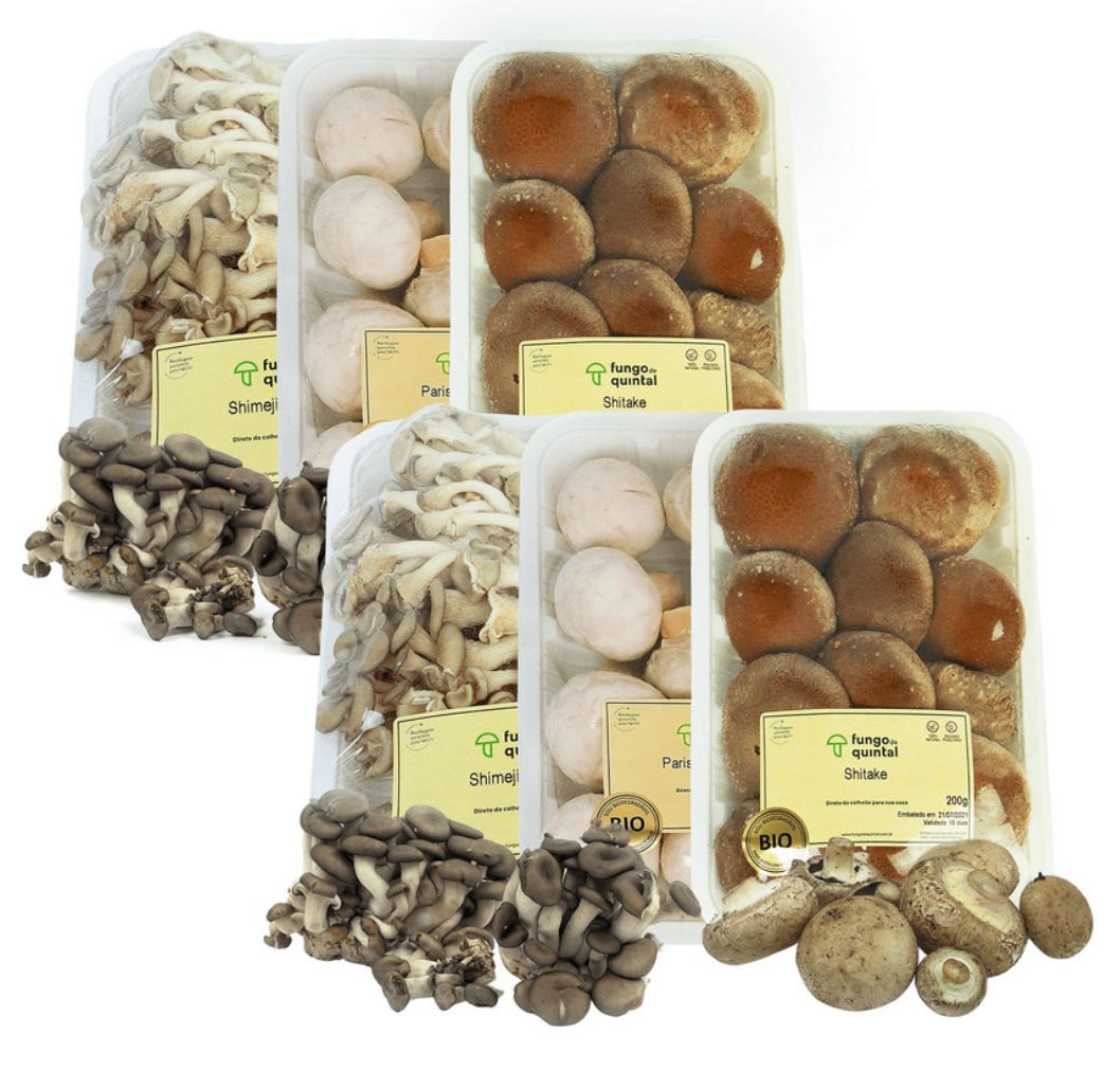 Cogumelo Shitake 200g Fungo de Quintal - Fungo de Quintal