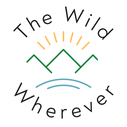 Artwork for The Wild Wherever