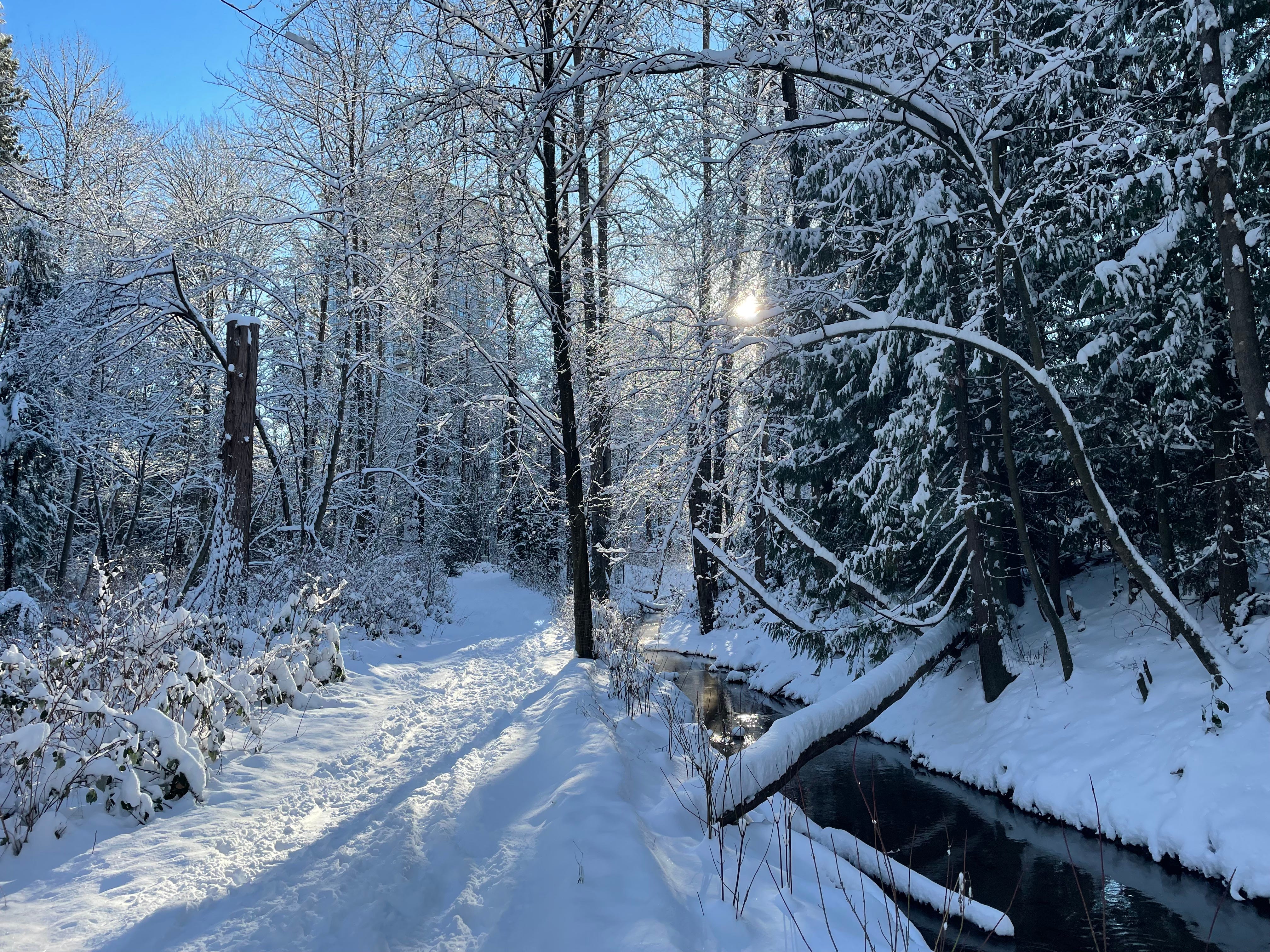 describe a beautiful morning