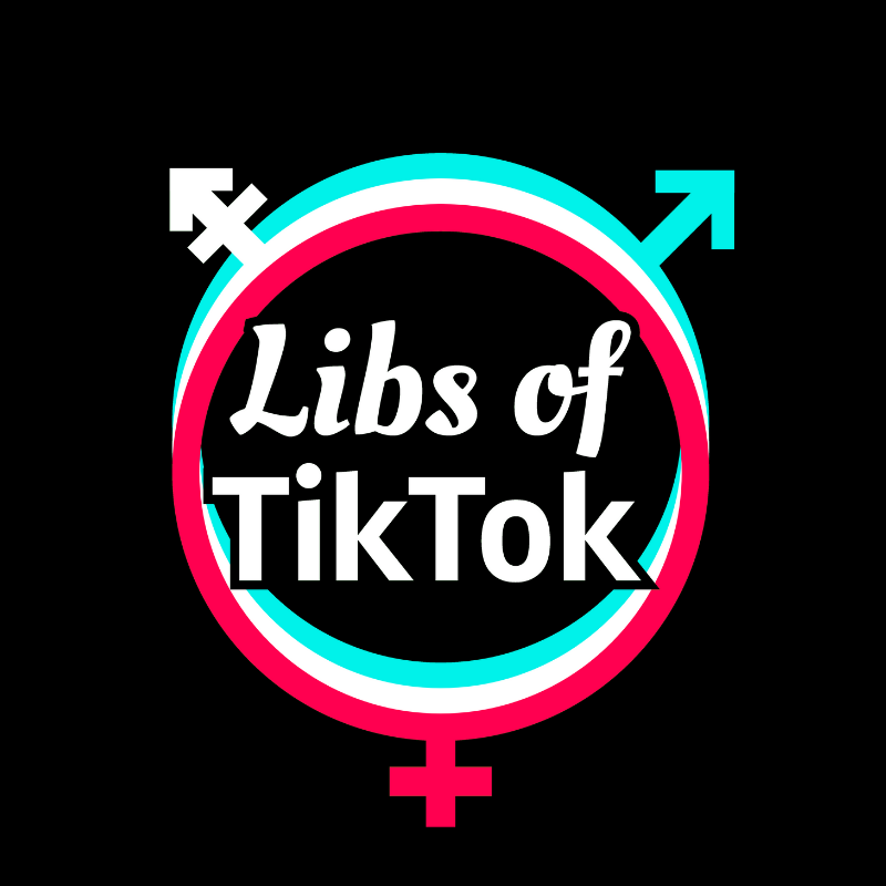 Artwork for Libs of TikTok
