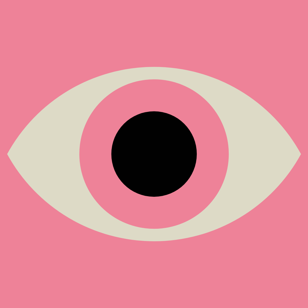 The Feminist Gaze logo