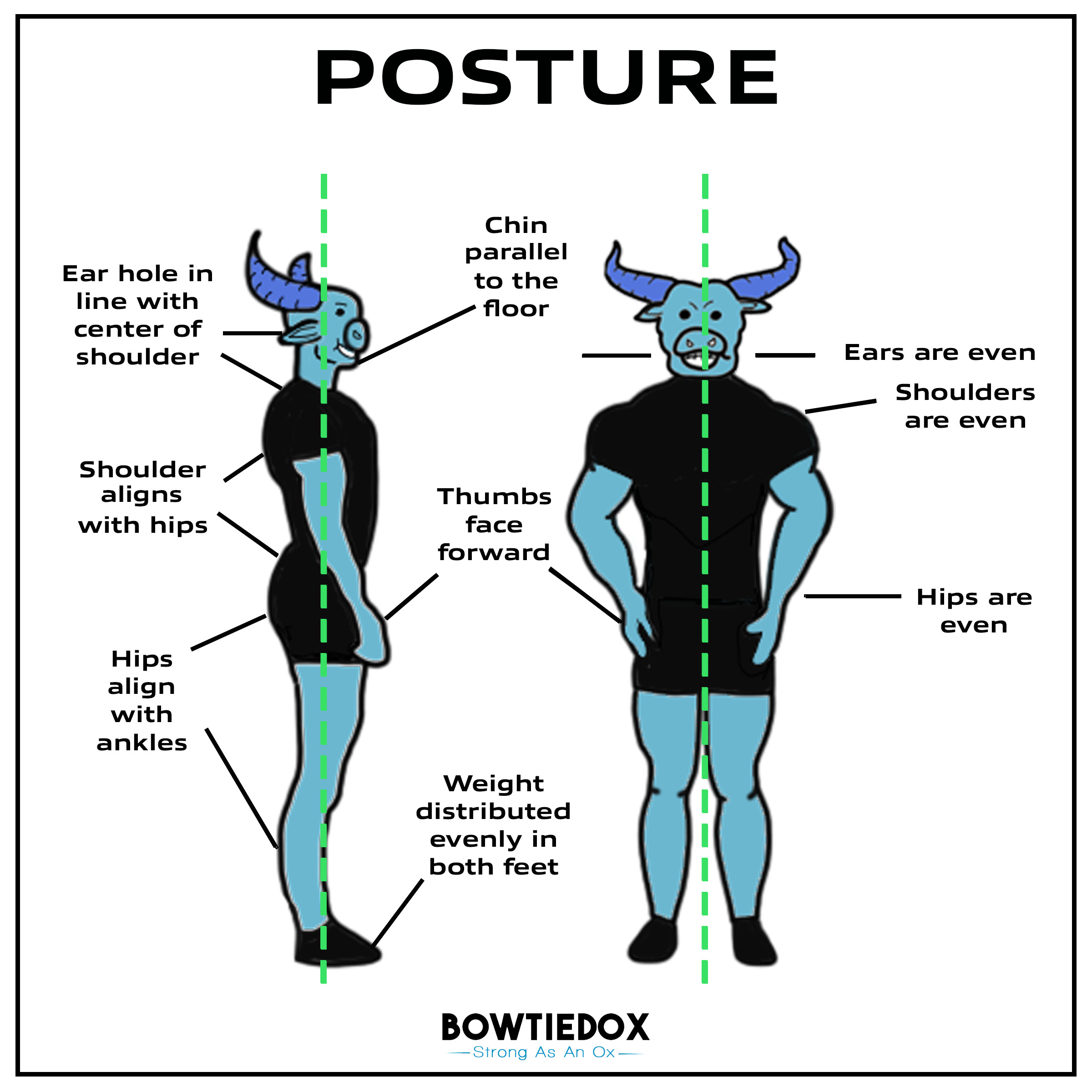 Posture 101 - by BowTiedOx - Strong As An Ox