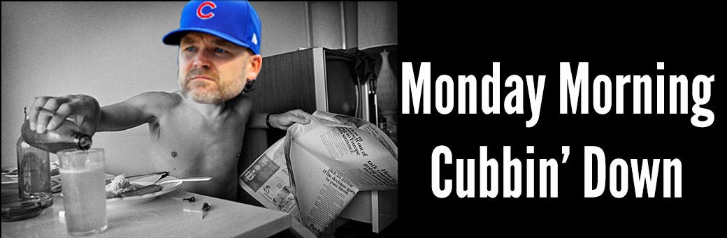 Things That Will Piss Off Cubs Fans More After Harper's Walk-Off