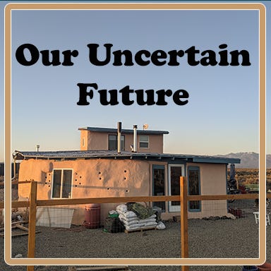 Artwork for Our Uncertain Future
