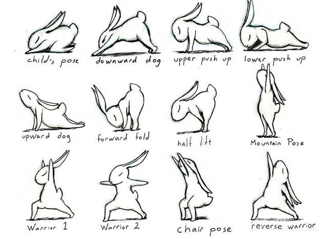 Different Types Of Yoga Poses With Names | International Society of  Precision Agriculture