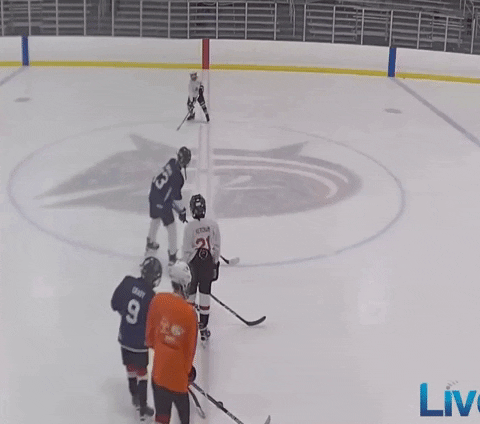 When and How to Go 1v1 In Hockey - by Greg Revak