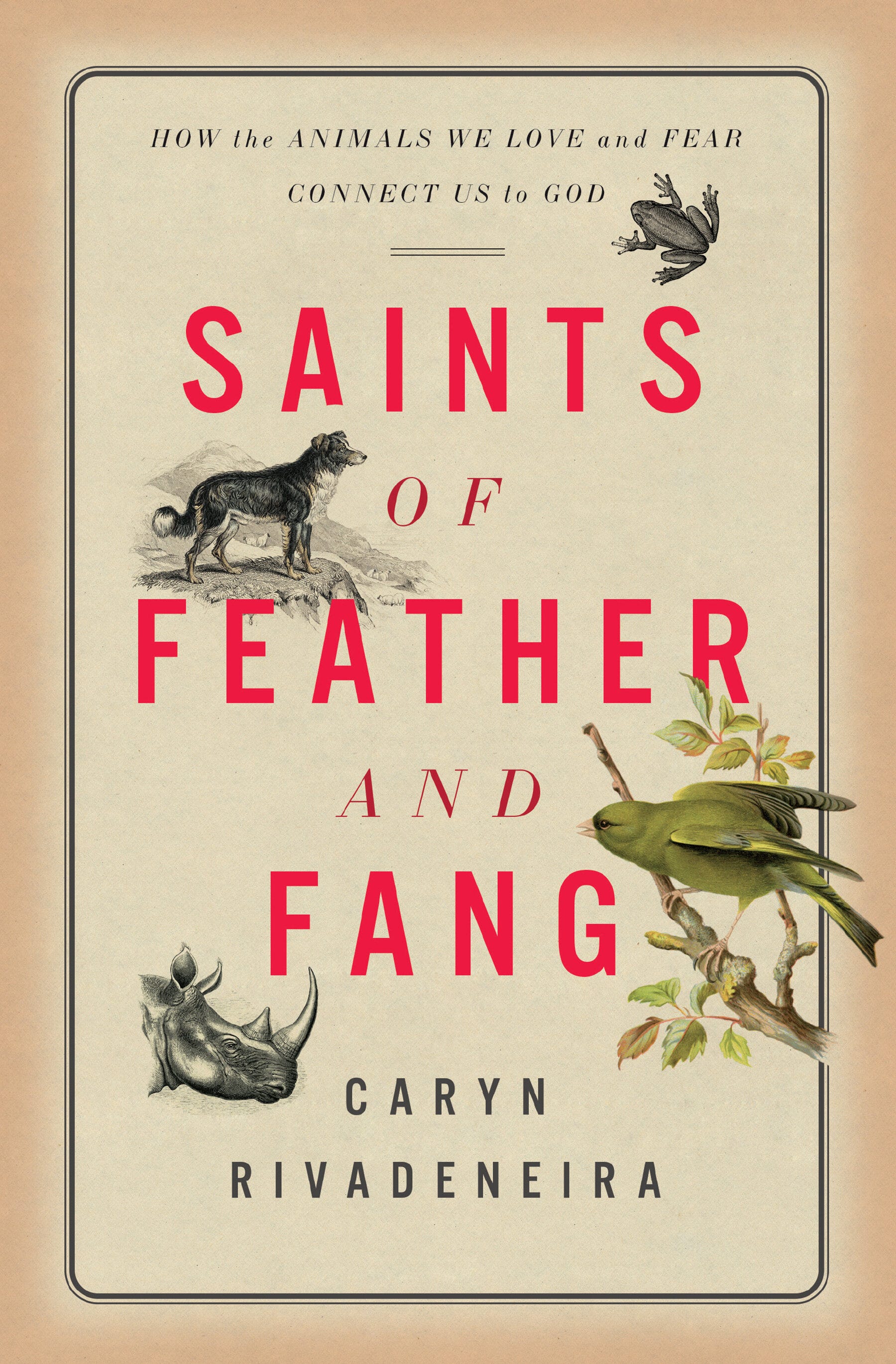 Book Review: Saints of Feather and Fang - by Gina Dalfonzo
